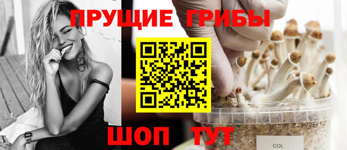 Кашира  Псилоцибиновые грибы Psilocybe  Вход с VPN 