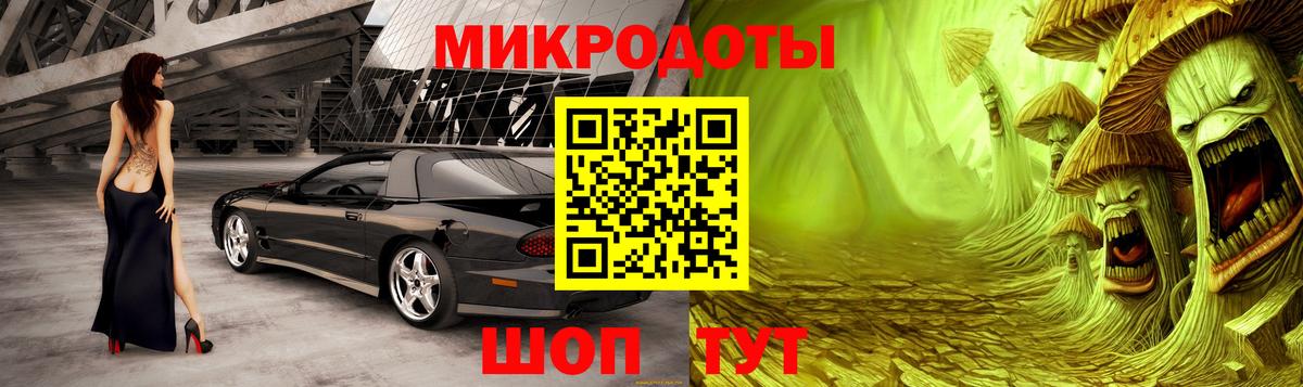 Галлюциногенные грибы Psilocybe Кашира